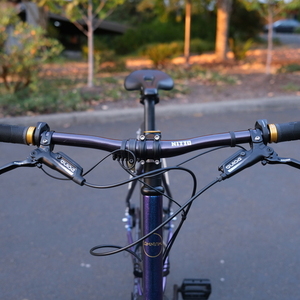 2022 Omnium Cargo V3 Purple