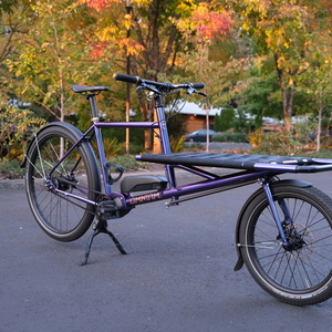 2022 Omnium Cargo V3 Purple