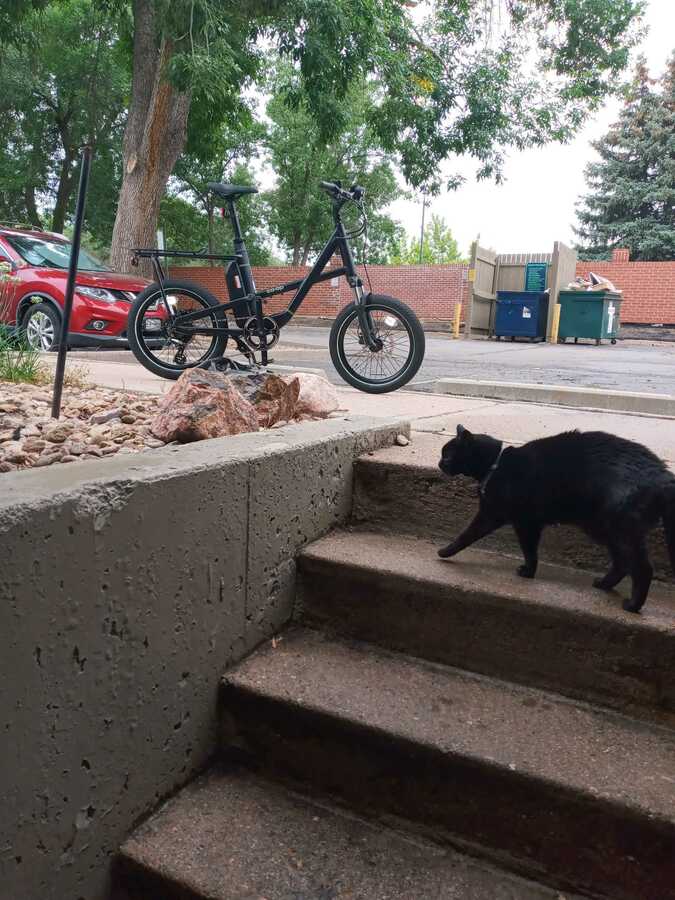 Bike photo