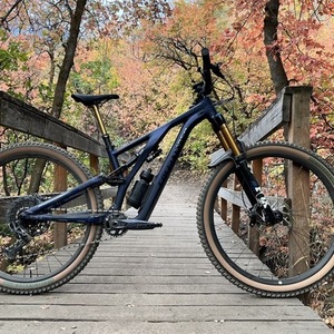 2022 Specialized Stumpjumper EVO Alloy LTD Blue