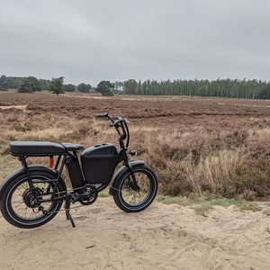 2019 Rad Power Bikes Rad Runner Black