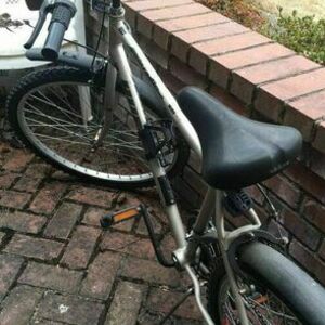 Huffy Silver, gray or bare metal