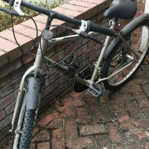 Huffy Silver, gray or bare metal