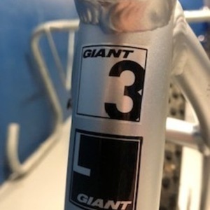 2019 Giant Talon 3 Silver, gray or bare metal, Black, and Red