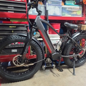 2022 iGo Electric Bikes extreme 3.0 Silver, gray or bare metal