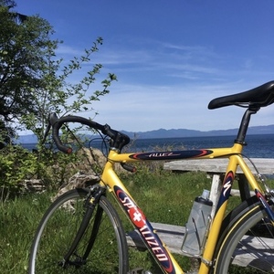 Specialized Allez A1 SE Yellow or Gold