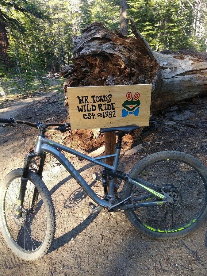 Bike photo