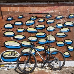 2021 Trek Blue
