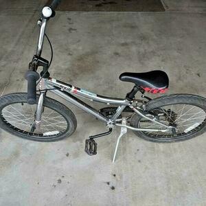 Raleigh MRX Silver, gray or bare metal
