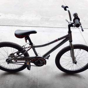 Raleigh MRX Silver, gray or bare metal