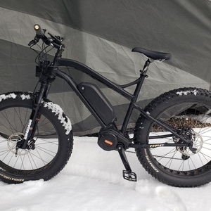 2020 Hi-power cycles Titan Black
