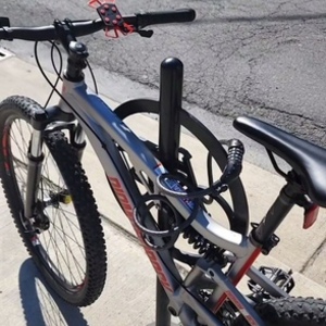 Diamondback Silver, gray or bare metal