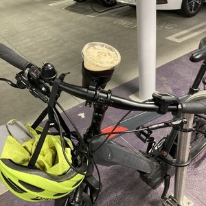 2022 Gazelle Medeo T10 Top Bar Silver, gray or bare metal