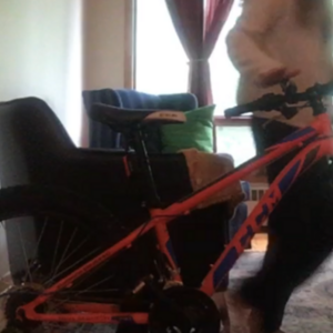 CCM Orange and Blue