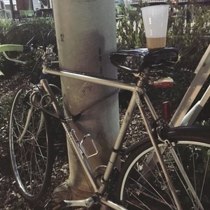 Raleigh Silver, gray or bare metal
