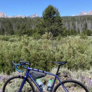 2020 Trek Emonda ALR 5 Purple