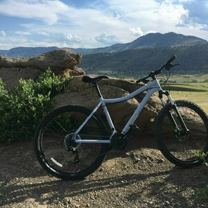 2019 REI Co-op Cycles 6061 aluminum Silver, gray or bare metal