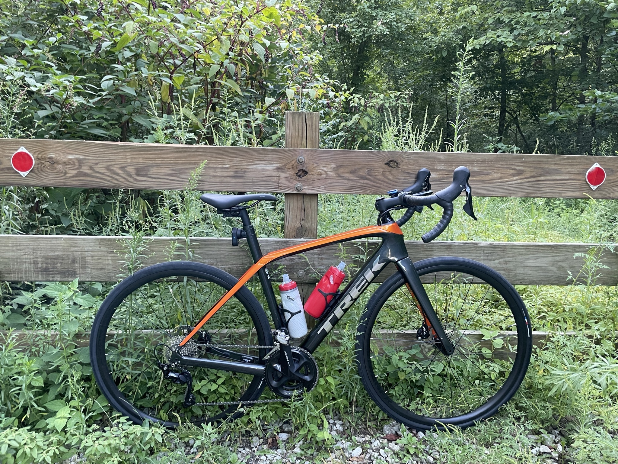 2021 trek domane sl5