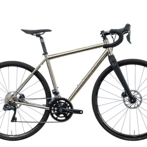 2021 Litespeed Cherohola Silver, gray or bare metal