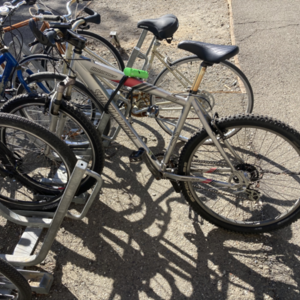 Specialized Hardrock Silver, gray or bare metal