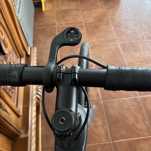 2021 Trek Domane Silver, gray or bare metal