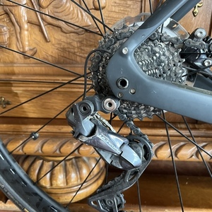 2021 Trek Domane Silver, gray or bare metal