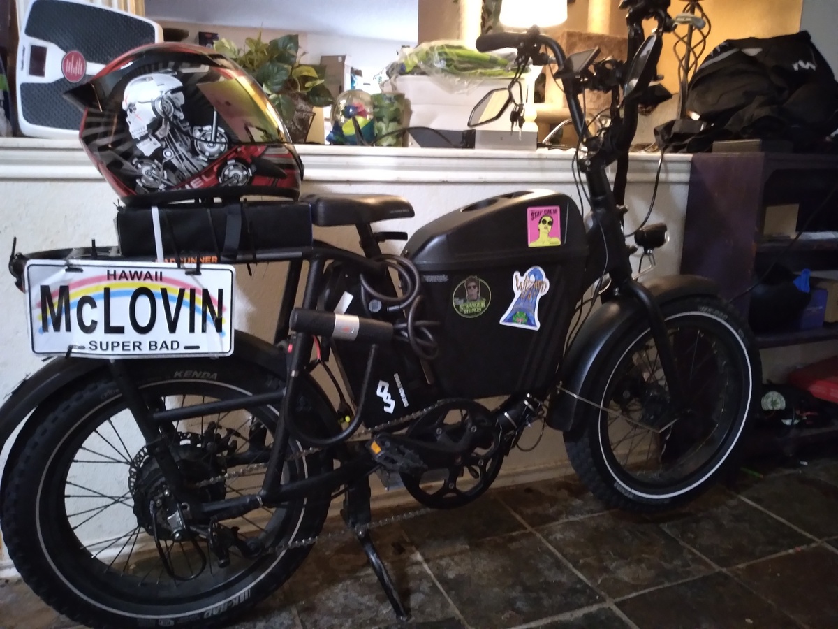 Cargo Bike Rear photo