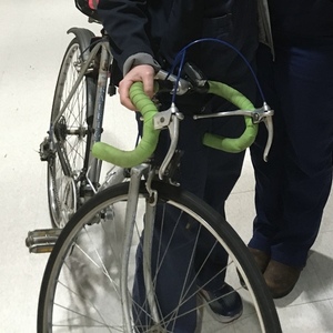 Raleigh Silver, gray or bare metal
