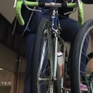 Raleigh Silver, gray or bare metal
