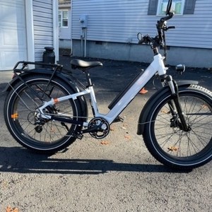 2022 Rad Power Bikes RadRover 6 Plus Step-Thru White