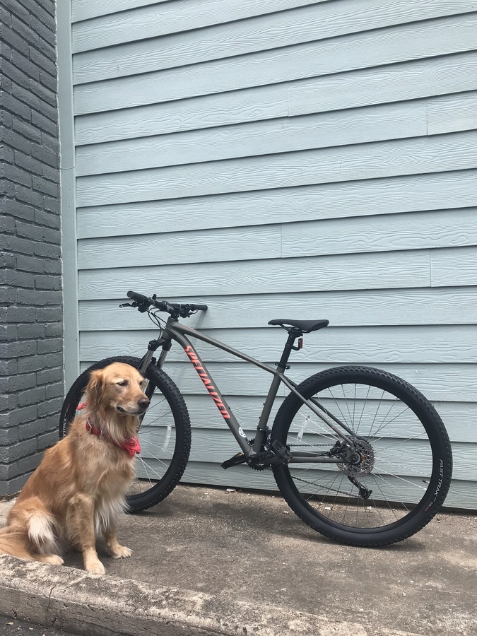 Bike photo