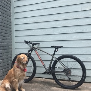 2019 Specialized Green