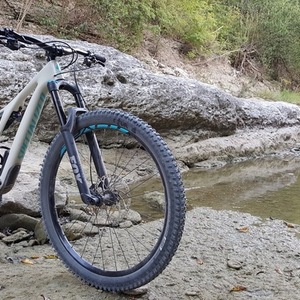 2019 Specialized Stumpjumper Comp Carbon 29er