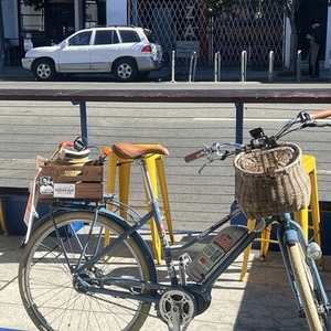 Bluejay Bikes Premiere Edition Blue