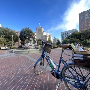 Bluejay Bikes Premiere Edition Blue