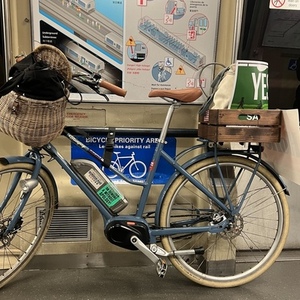 Bluejay Bikes Premiere Edition Blue