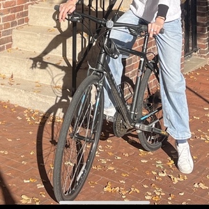 2018 Trek Black and Blue