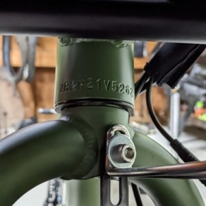 2022 Rad Power Bikes RadRunner 2 Green