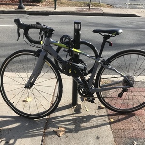2017 Specialized Dolce Silver, gray or bare metal and Green