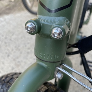 2022 Rad Power Bikes Runner 2 Green
