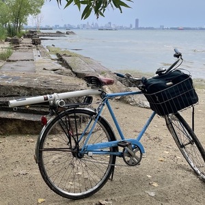 2022 Schwinn Speedster Blue