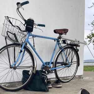 2022 Schwinn Speedster Blue