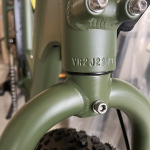 2022 Rad Power Bikes Rad Runner 2 Green