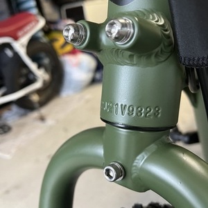 2022 Rad Power Bikes Rad Runner 2 Green