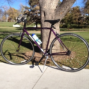 Jamis Beatnik Purple