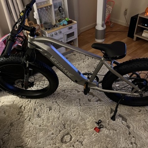 2022 Velowave Ranger Silver, gray or bare metal
