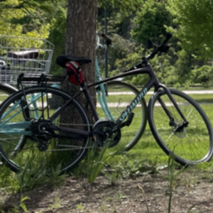 2018 Specialized Purple