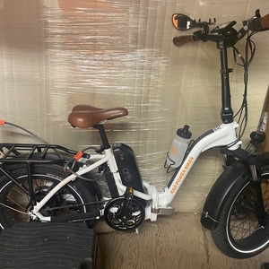 2020 Rad Power Bikes RadMini Step-Thru Electric Fat Bike V... White