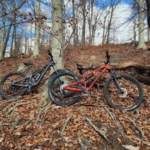 2022 Rocky Mountain Bicycles Element Red