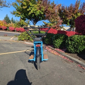Blix Packa Electric Cargo Bike Blue